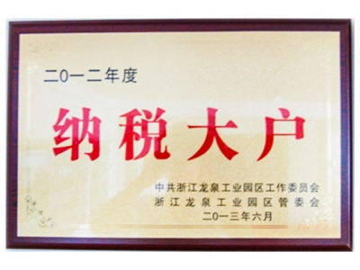 2012年度納稅大戶(hù)