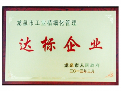 龍泉市工業(yè)精細(xì)化管理達標(biāo)企業(yè)