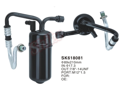 SK618081