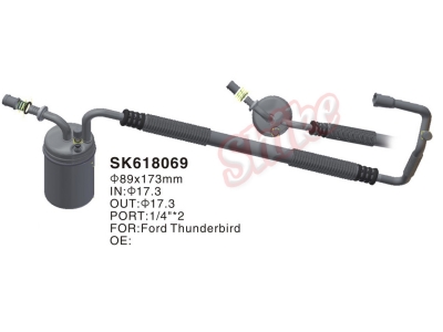 SK618069