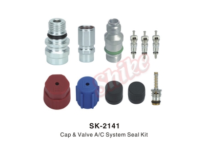 SK-2141