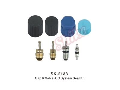 SK-2133
