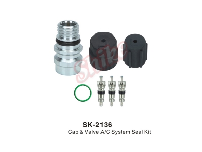 SK-2136