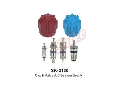 SK-2130