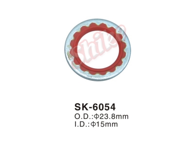 SK-6054