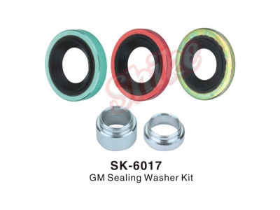SK-6017