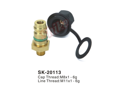 SK-20113