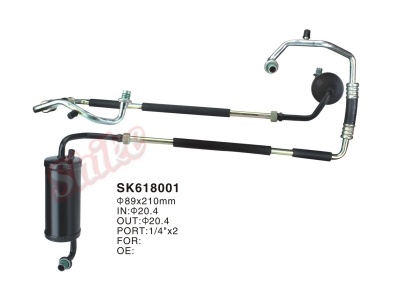 SK618001