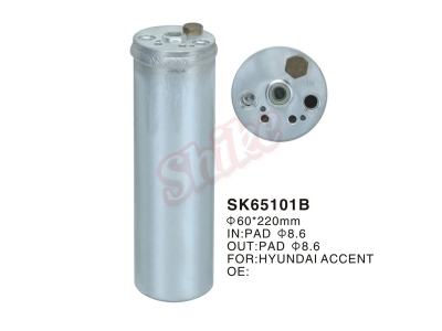 SK-65101B