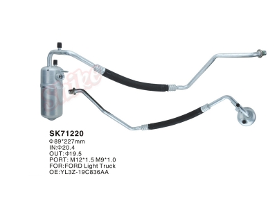 SK-71220